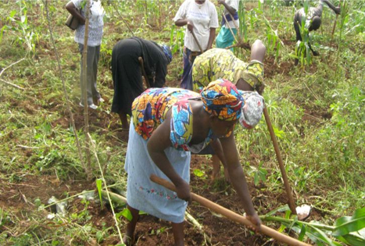 Training and equipment /Material Support on modern small-holder farm system at Ogamininana and Kuroko Communities in Adavi LGA, Kogi State 18th and 19th October 2023. This achieved success with no negative incident.